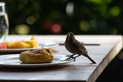 Desayuno Enamora2